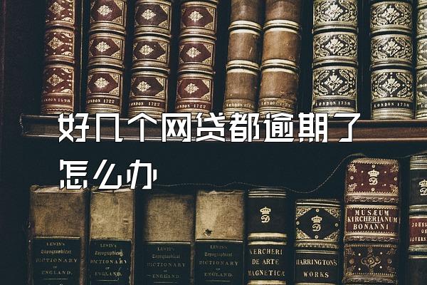 好几个网贷都逾期了怎么办