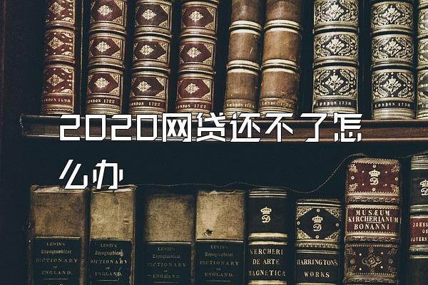 2020网贷还不了怎么办