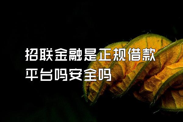 招联金融是正规借款平台吗安全吗