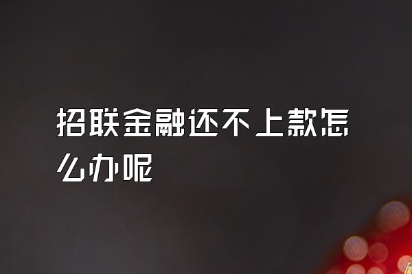 招联金融还不上款怎么办呢