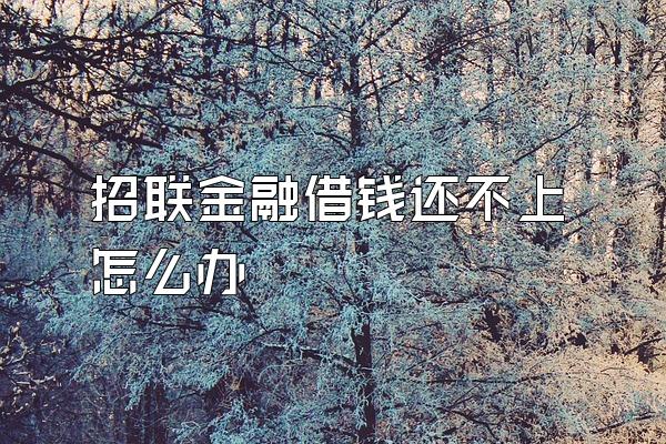 招联金融借钱还不上怎么办