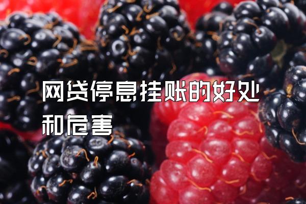 网贷停息挂账的好处和危害