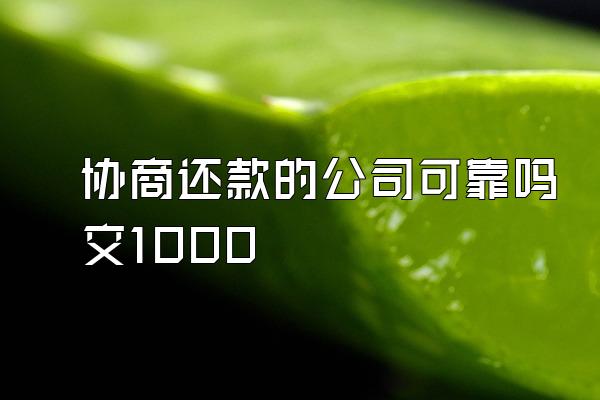 协商还款的公司可靠吗交1000