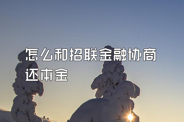 怎么和招联金融协商还本金