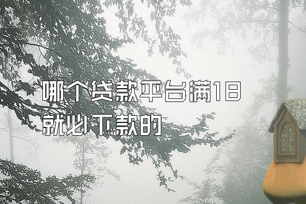 哪个贷款平台满18就必下款的