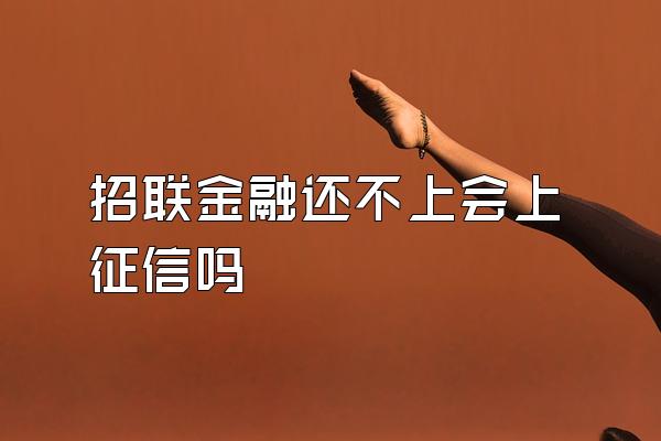 招联金融还不上会上征信吗