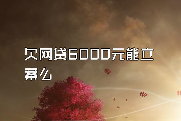 欠网贷6000元能立案么
