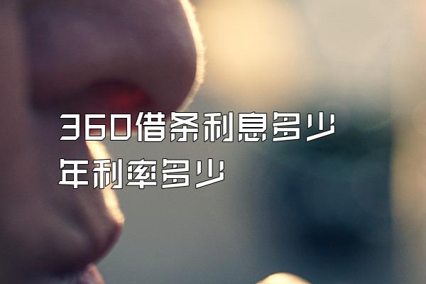 360借条利息多少年利率多少