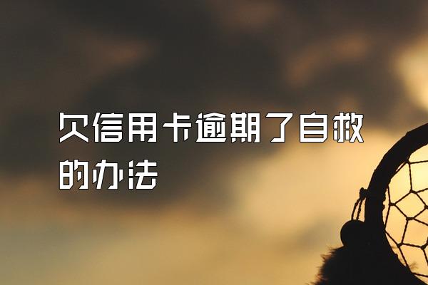欠信用卡逾期了自救的办法