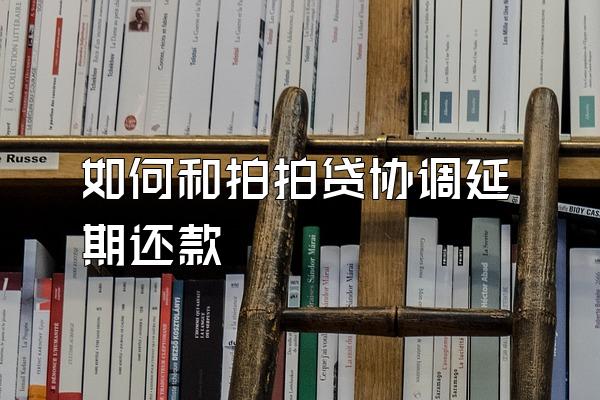 如何和拍拍贷协调延期还款