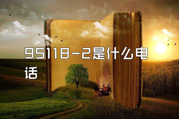 95118-2是什么电话