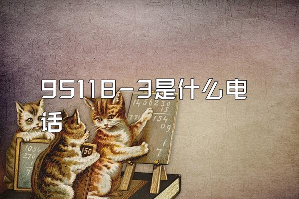95118-3是什么电话