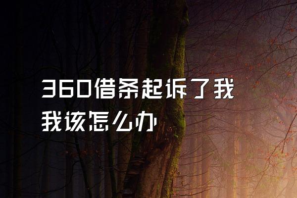 360借条起诉了我我该怎么办