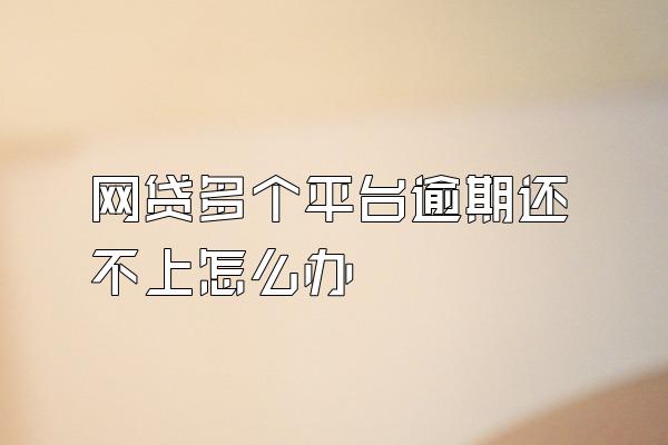 网贷多个平台逾期还不上怎么办