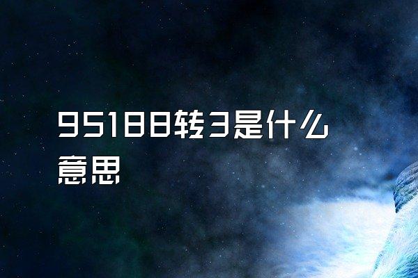 95188转3是什么意思