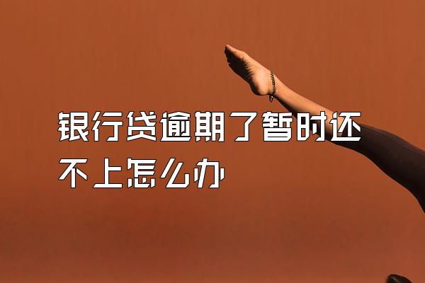 银行贷逾期了暂时还不上怎么办