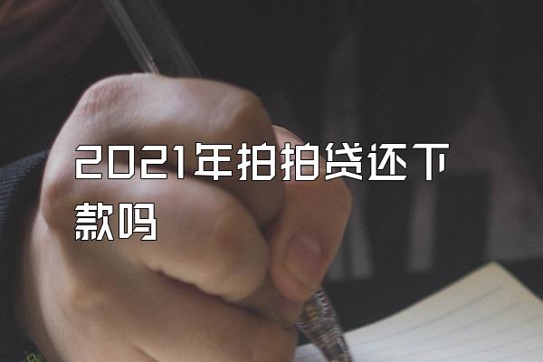 2021年拍拍贷还下款吗