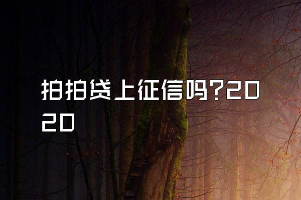 拍拍贷上征信吗?2020