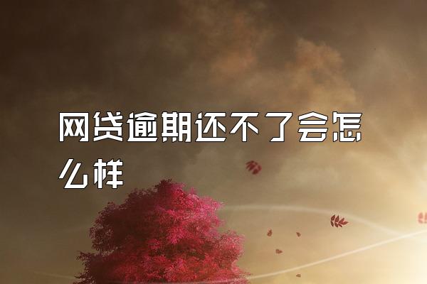 网贷逾期还不了会怎么样