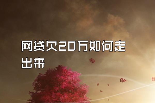 网贷欠20万如何走出来
