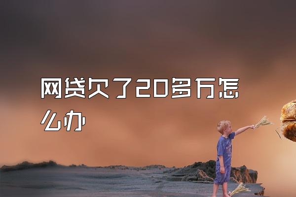 网贷欠了20多万怎么办