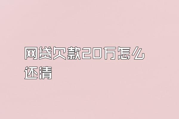 网贷欠款20万怎么还清