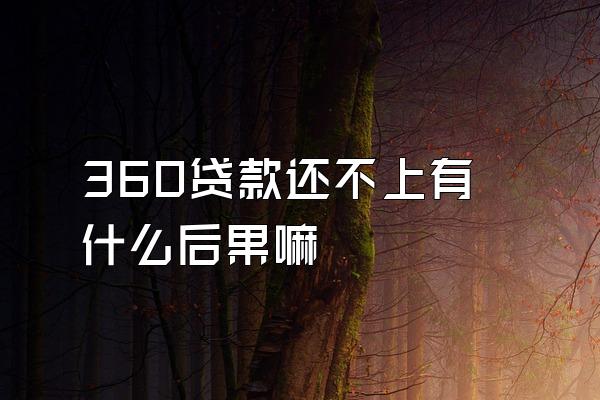 360贷款还不上有什么后果嘛