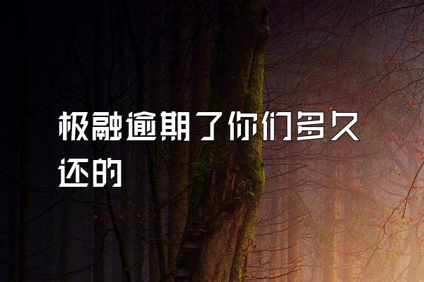 极融逾期了你们多久还的