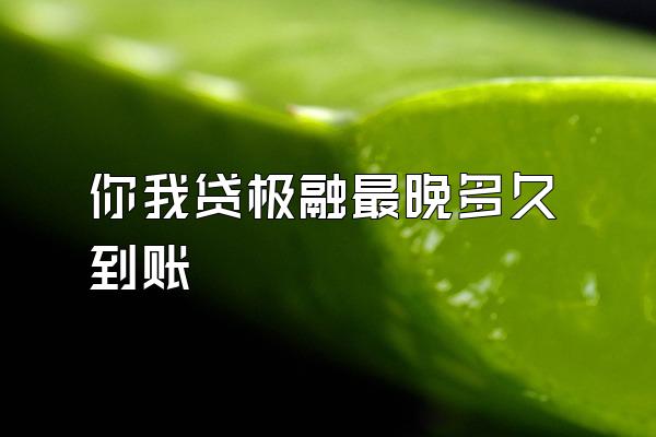 你我贷极融最晚多久到账