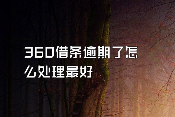 360借条逾期了怎么处理最好