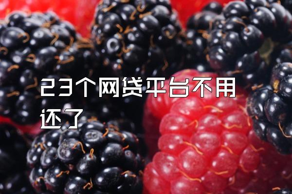 23个网贷平台不用还了