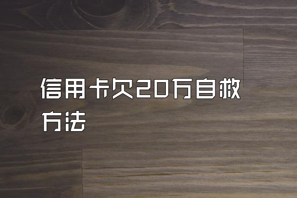 信用卡欠20万自救方法