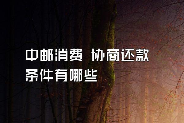 中邮消费 协商还款条件有哪些