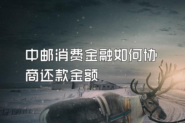 中邮消费金融如何协商还款金额