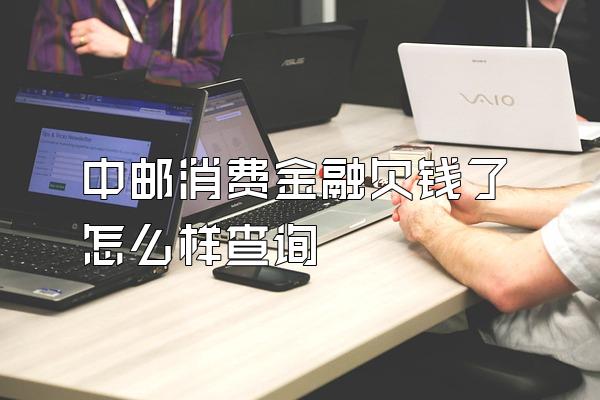中邮消费金融欠钱了怎么样查询