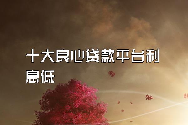 十大良心贷款平台利息低