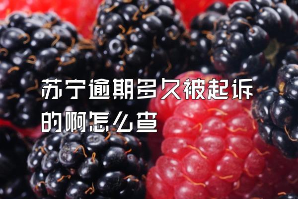 苏宁逾期多久被起诉的啊怎么查