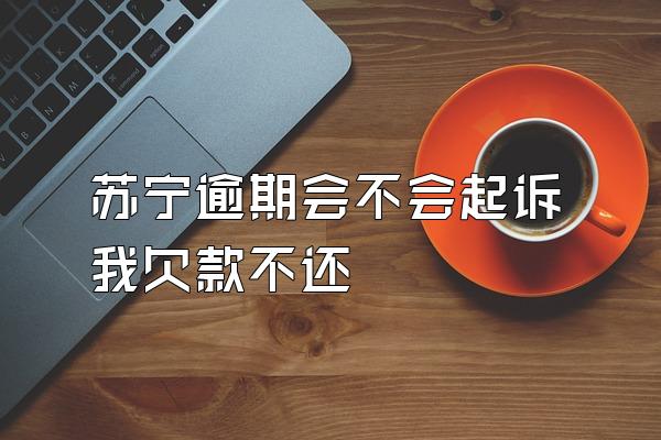 苏宁逾期会不会起诉我欠款不还