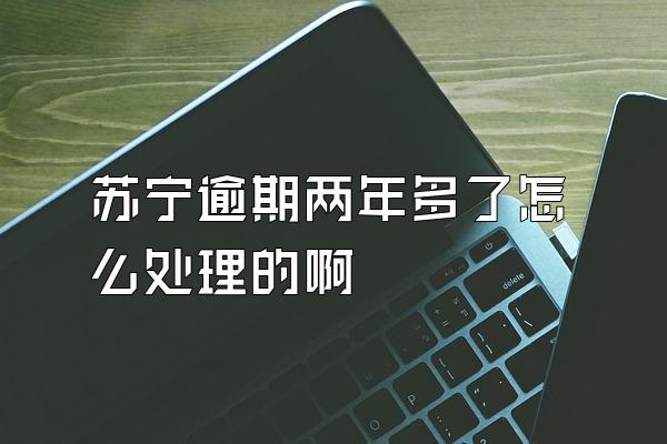 苏宁逾期两年多了怎么处理的啊