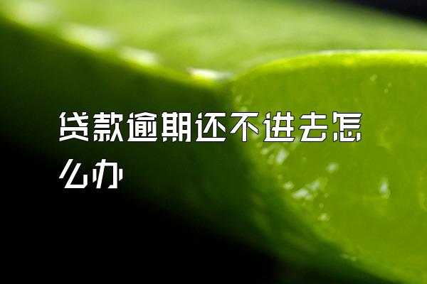 贷款逾期还不进去怎么办