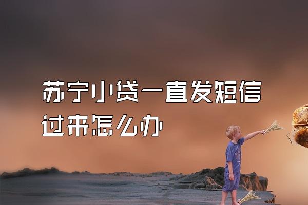 苏宁小贷一直发短信过来怎么办