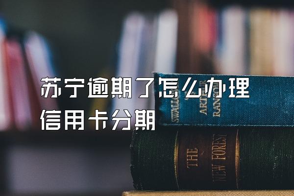 苏宁逾期了怎么办理信用卡分期