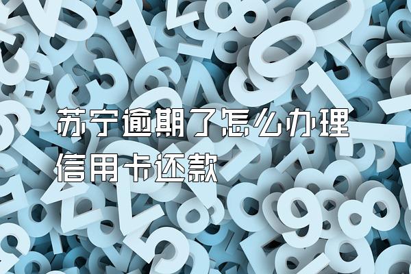 苏宁逾期了怎么办理信用卡还款