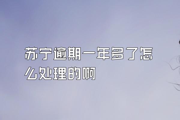 苏宁逾期一年多了怎么处理的啊