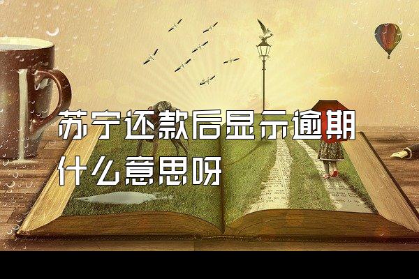 苏宁还款后显示逾期什么意思呀