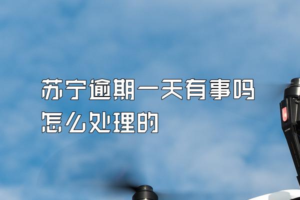 苏宁逾期一天有事吗怎么处理的