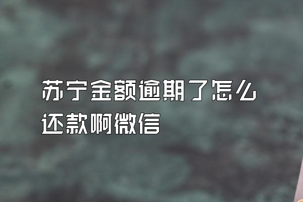 苏宁金额逾期了怎么还款啊微信