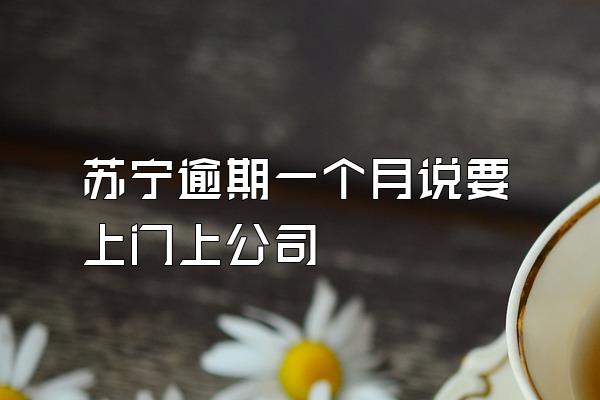 苏宁逾期一个月说要上门上公司
