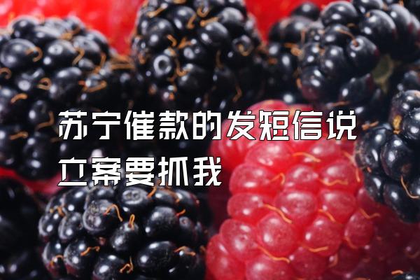 苏宁催款的发短信说立案要抓我