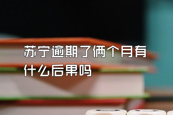 苏宁逾期了俩个月有什么后果吗